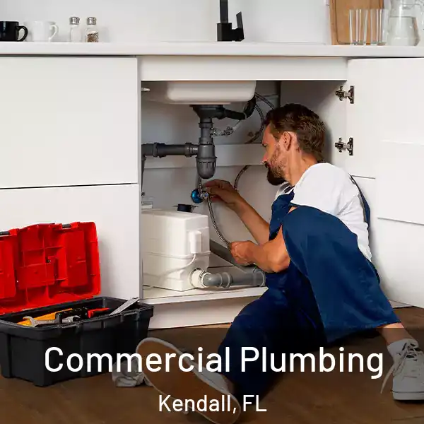  Commercial Plumbing Kendall, FL