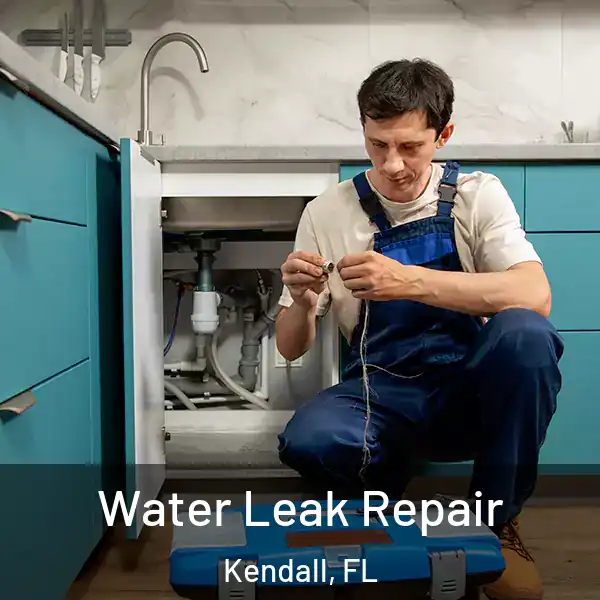  Water Leak Repair Kendall, FL